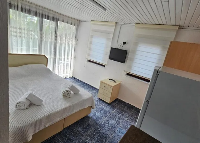 Kekik Azure Homes Oeluedeniz 3* フェティエ